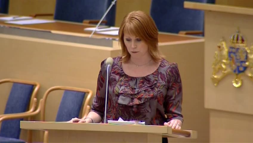 Stillbild från Interpellationsdebatt, Kontroll av enskilda företag som anlitats för att utföra tjänster