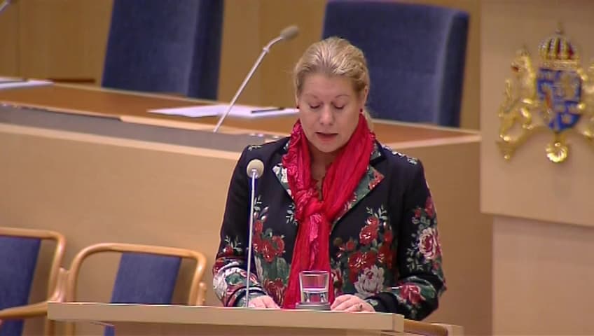 Stillbild från Interpellationsdebatt, Mänskliga rättigheter på sjön