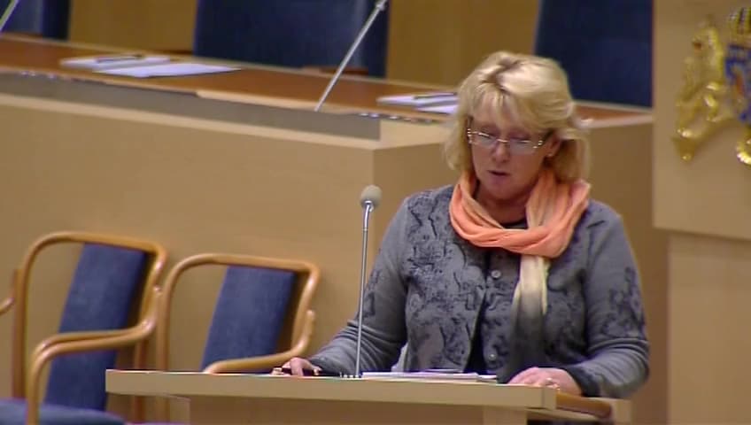 Stillbild från Interpellationsdebatt, Översvämningsrisk i Vänern och Arvika