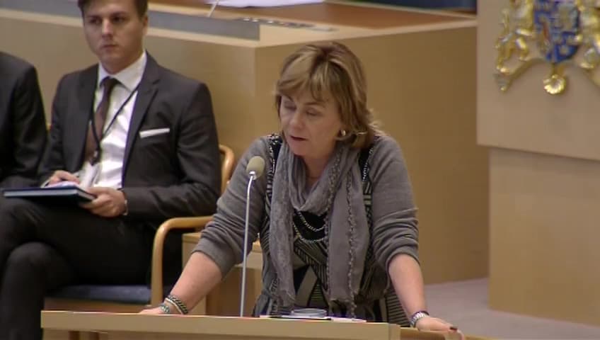 Stillbild från Interpellationsdebatt, Tillsynen av överförmyndare