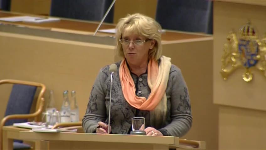 Stillbild från Interpellationsdebatt, Miljörisker med planerat kärnkraftverk i Pyhäjoki