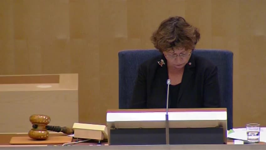 Stillbild från Debatt om förslag, Grönbok om modernisering av direktivet om erkännande av yrkeskvalifikationer