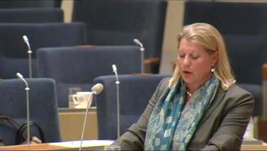 Stillbild från Interpellationsdebatt, Flygledartjänsterna