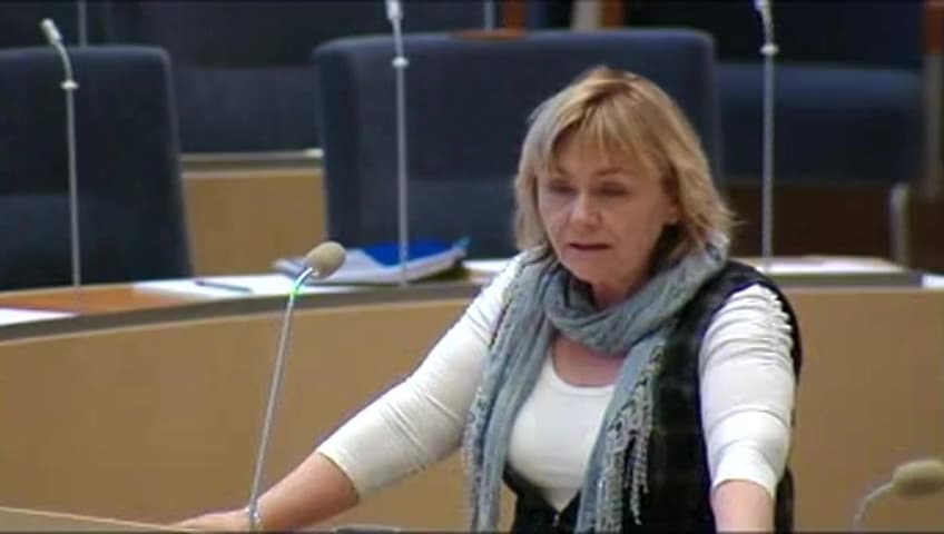 Stillbild från Interpellationsdebatt, Rättsväsendets hantering av sexuella övergrepp mot barn