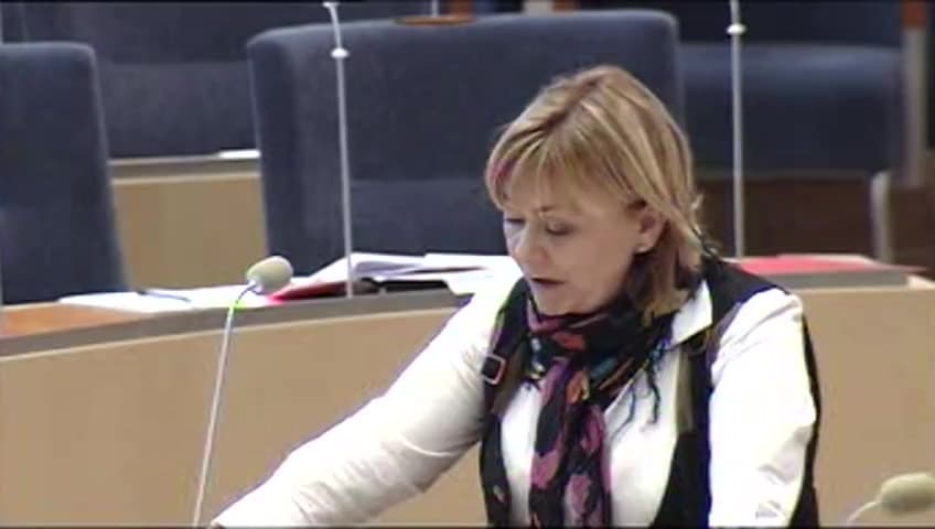 Stillbild från Interpellationsdebatt, Implementeringen i svensk rätt av internationella brott