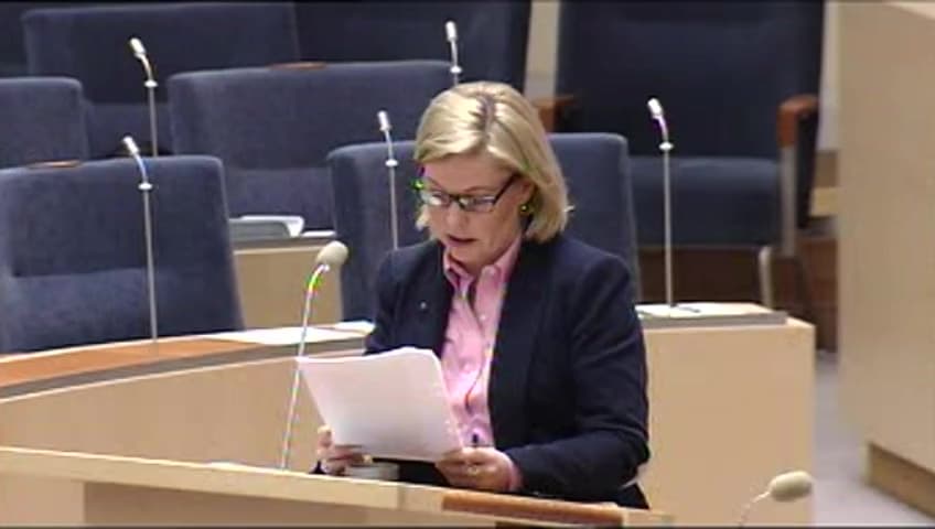 Stillbild från Interpellationsdebatt, Matchningsproblematiken på arbetsmarknaden