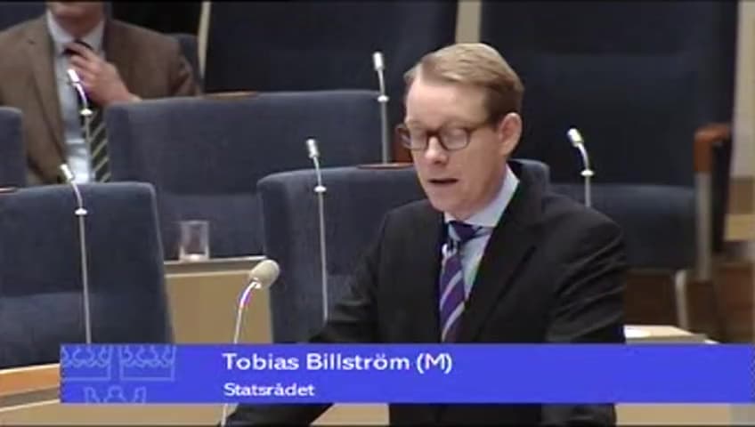 Stillbild från Interpellationsdebatt, Åtgärder för en väl fungerande arbetskraftsinvandring