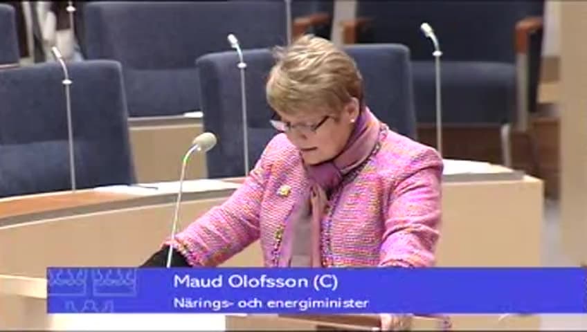 Stillbild från Interpellationsdebatt, Dammolycka med stora miljökonsekvenser