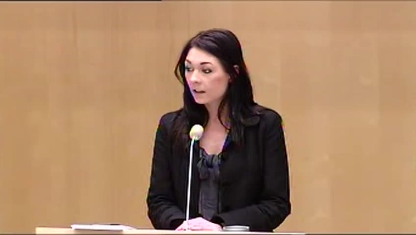 Stillbild från Debatt om förslag, Användning av säkerhetsskannrar vid EU:s flygplatser