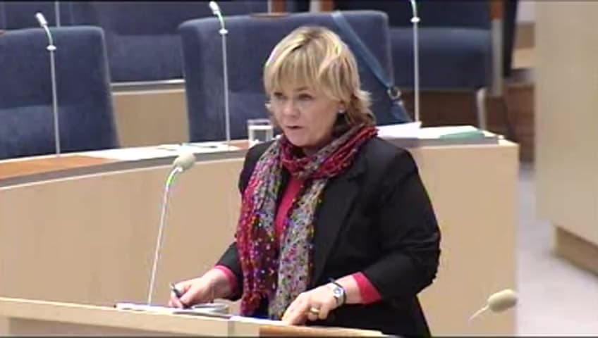Stillbild från Interpellationsdebatt, Illegala vapen