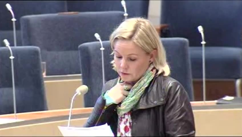 Stillbild från Interpellationsdebatt, Ungdomsarbetslösheten i Sverige