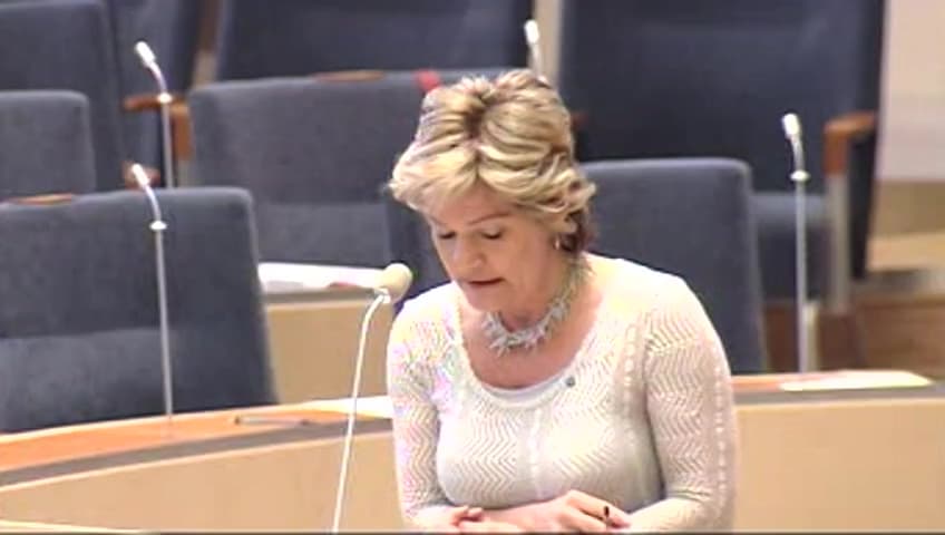 Stillbild från Interpellationsdebatt, Sis verksamhet