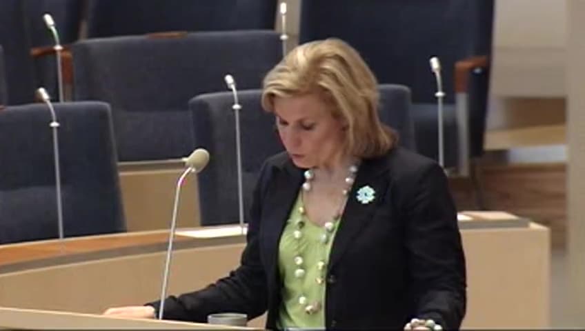 Stillbild från Interpellationsdebatt, Satsning på förnybar energi i Sydafrika