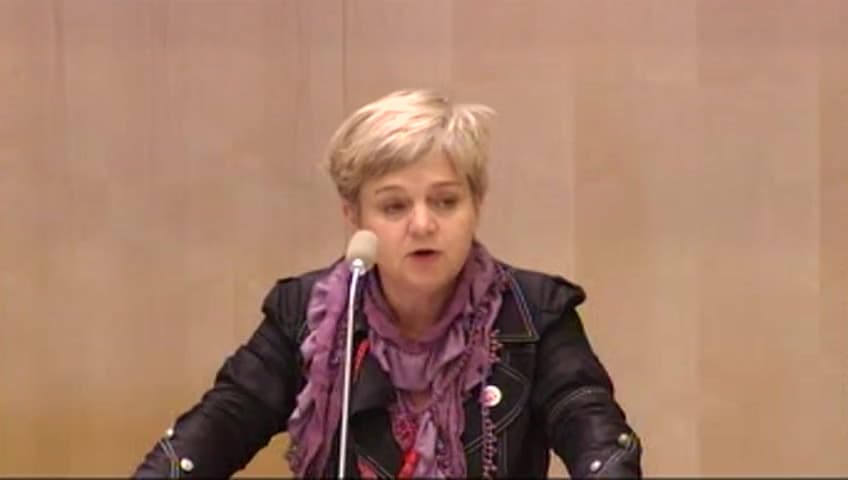 Stillbild från Debatt om förslag, Utlåtande över EU:s framtidsstrategi 2020