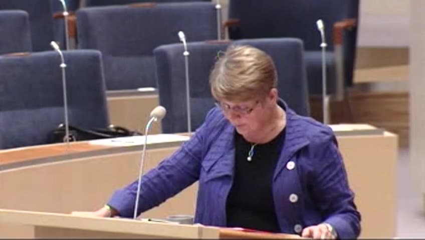 Stillbild från Interpellationsdebatt, Näringslivets förutsättningar i Västerbotten
