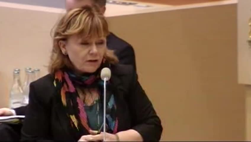 Stillbild från Interpellationsdebatt, Handläggning och domstolsprövning av patent
