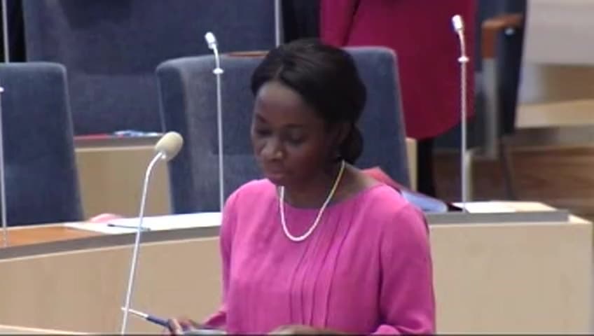 Stillbild från Interpellationsdebatt, Resurser för att motarbeta rasism och diskriminering
