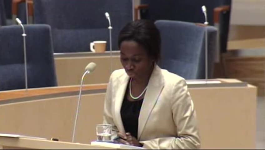 Stillbild från Interpellationsdebatt, Situationen för invandrade kvinnor på arbetsmarknaden