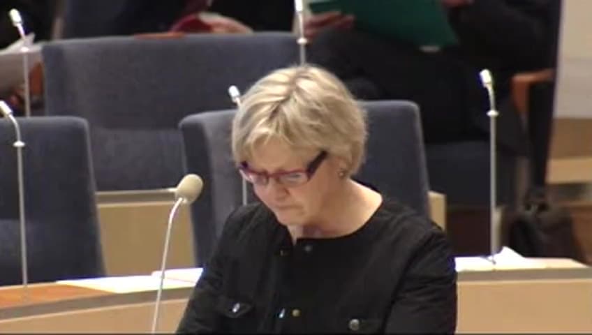 Stillbild från Interpellationsdebatt, Svenskt internationellt sjöfartsregister