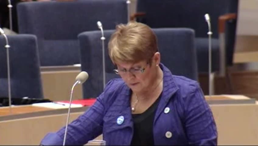 Stillbild från Interpellationsdebatt, Småföretagarpolitik