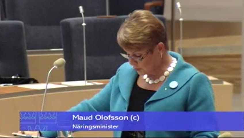 Stillbild från Interpellationsdebatt, Statens ansvar för malmfälten