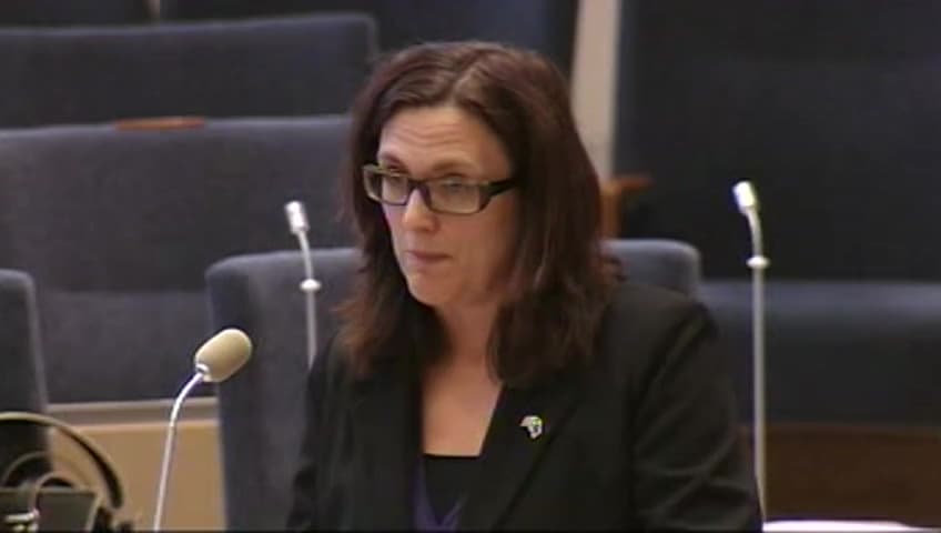 Stillbild från Interpellationsdebatt, Könsfördelningen beträffande centrala maktpositioner inom EU