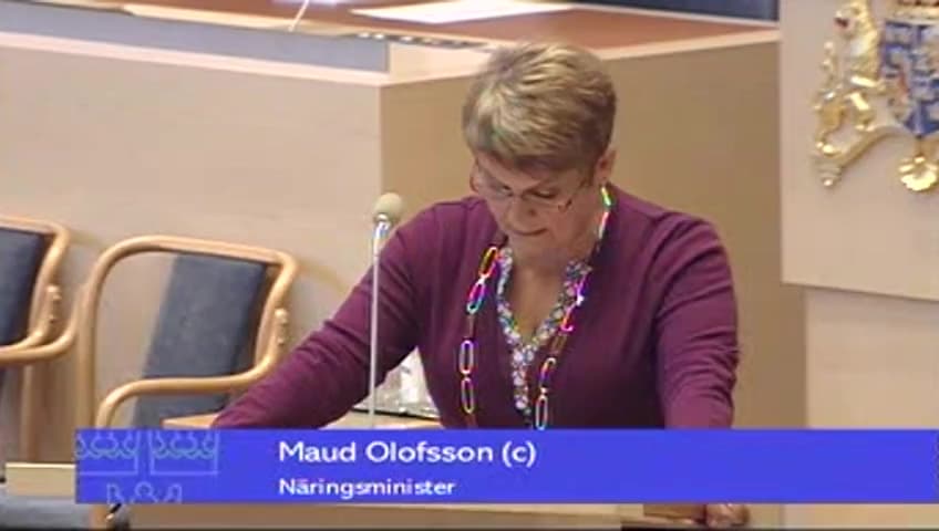 Stillbild från Interpellationsdebatt, Undsättningslån