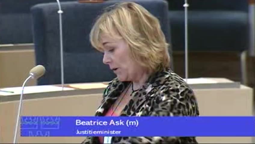 Stillbild från Interpellationsdebatt, Insyn och offentliga utredningar
