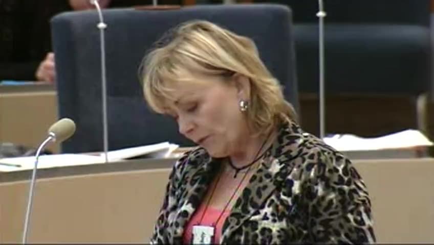 Stillbild från Interpellationsdebatt, Framtiden för kriminalvårdsanstalten Viskan