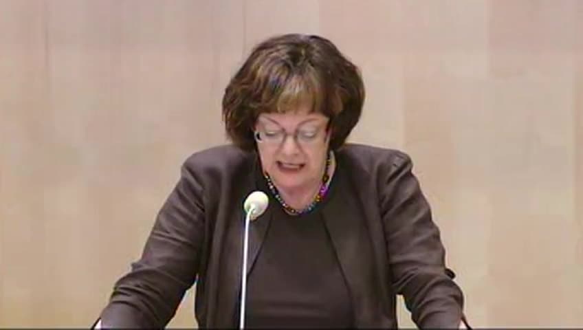 Stillbild från Debatt om förslag, Globalisering 