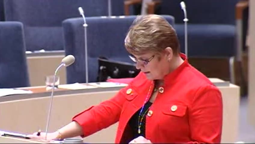 Stillbild från Interpellationsdebatt, Investeringar för utveckling av framtidens svenska träindustri 