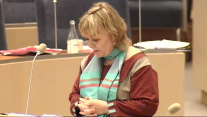 Stillbild från Interpellationsdebatt, Resursfördelning inom polisväsendet
