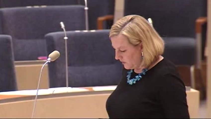 Stillbild från Interpellationsdebatt, Protektionistisk utveckling