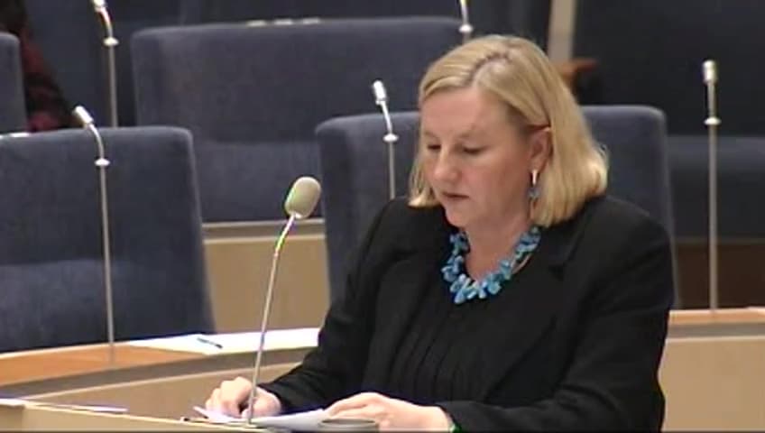 Stillbild från Interpellationsdebatt, Turismens effekter