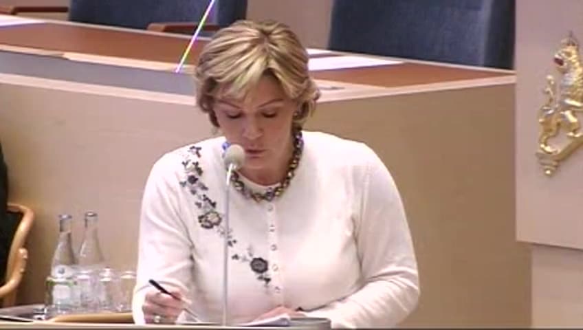 Stillbild från Interpellationsdebatt, Mäns sexualiserade våld mot kvinnor