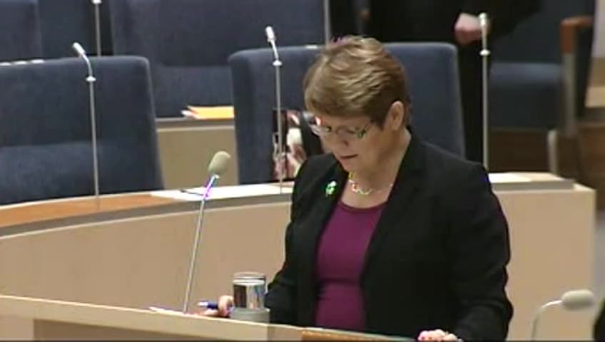 Stillbild från Interpellationsdebatt, En effektivare dagligvaruhandel