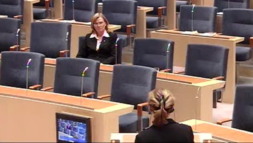 Stillbild från Interpellationsdebatt, Minskade anslag till Forum för levande historia 2008