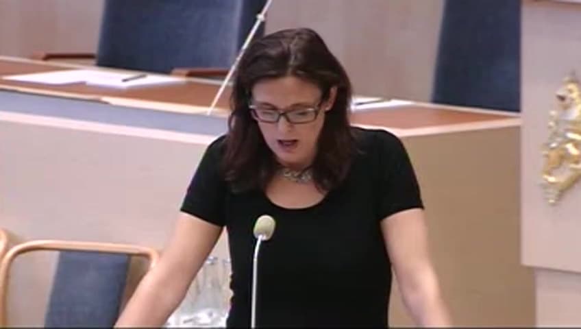 Stillbild från Interpellationsdebatt, Behandling av Lissabonfördraget i Europeiska rådet den 15-16 oktober