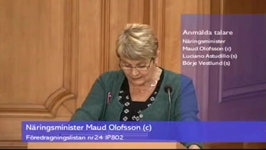 Stillbild från Interpellationsdebatt, Regeringens förenklingsarbete för företagare