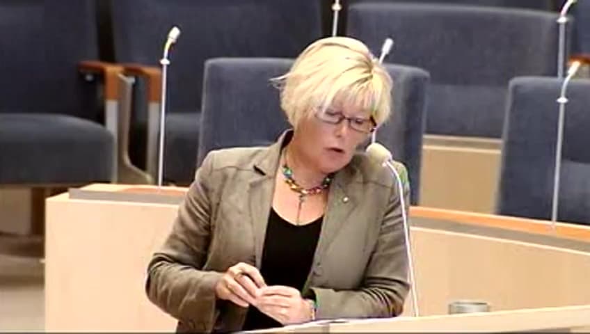 Stillbild från Interpellationsdebatt, Internationella evenemang i Sverige