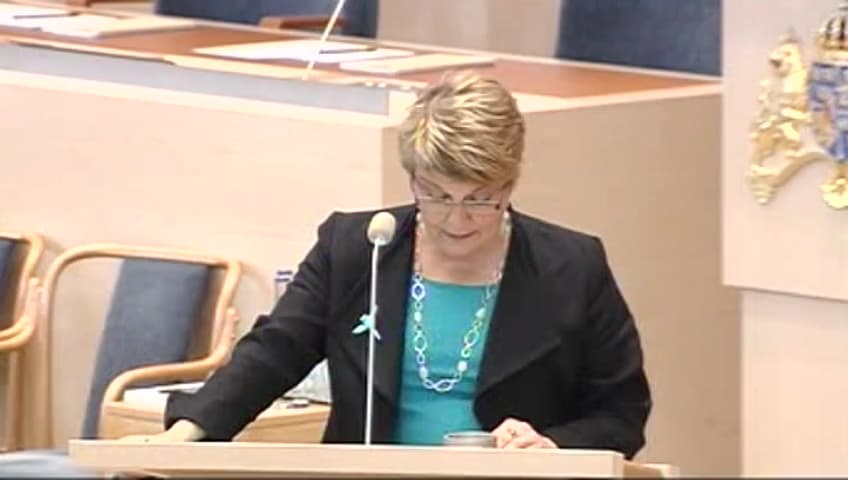 Stillbild från Interpellationsdebatt, Bensinstationer på landsbygden