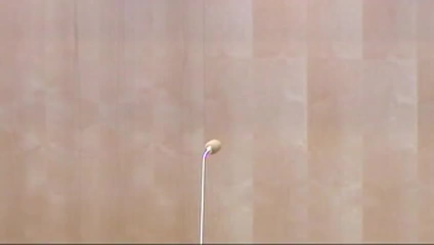 Stillbild från Debatt om förslag, Spärrmöjligheter för telefonitjänster