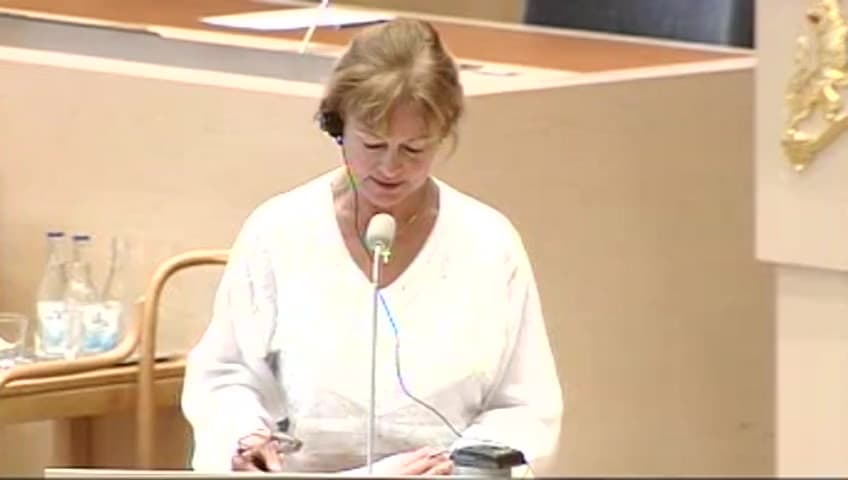 Stillbild från Interpellationsdebatt, Föremålsvård i Grängesberg