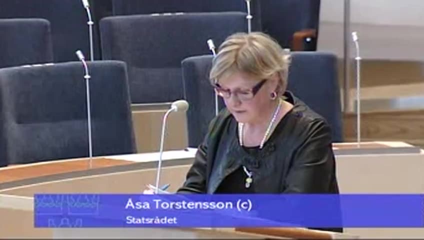 Stillbild från Interpellationsdebatt, Statens ansvar för betaltjänster