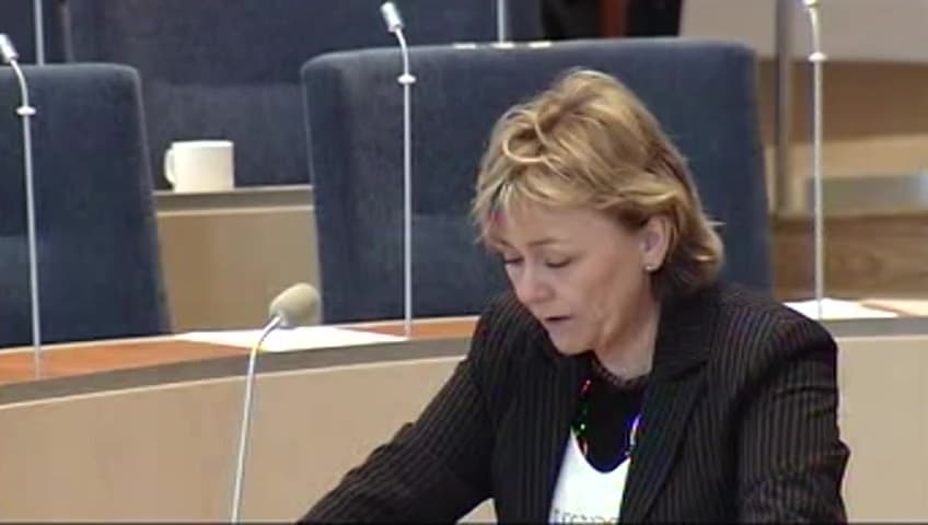 Stillbild från Interpellationsdebatt, Tjänsten som rikspolischef