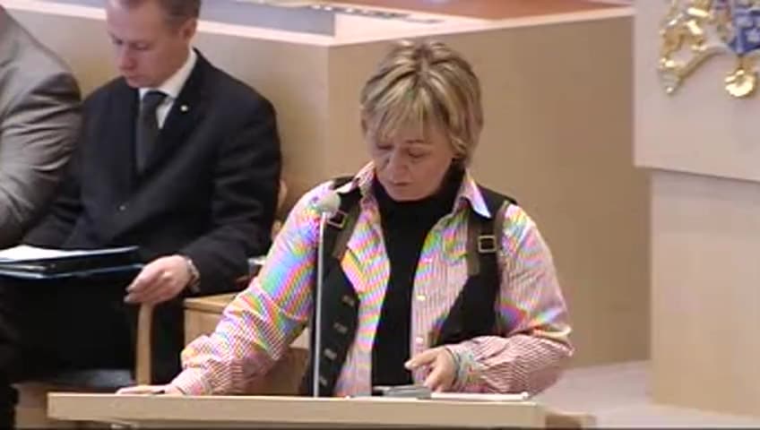 Stillbild från Interpellationsdebatt, Merarbete hos polisen vid neddragningar hos tullen