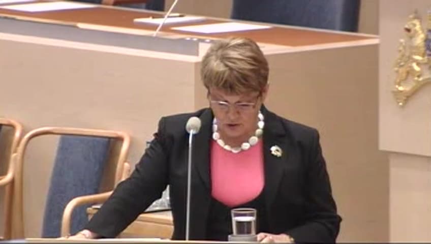 Stillbild från Interpellationsdebatt, Turism
