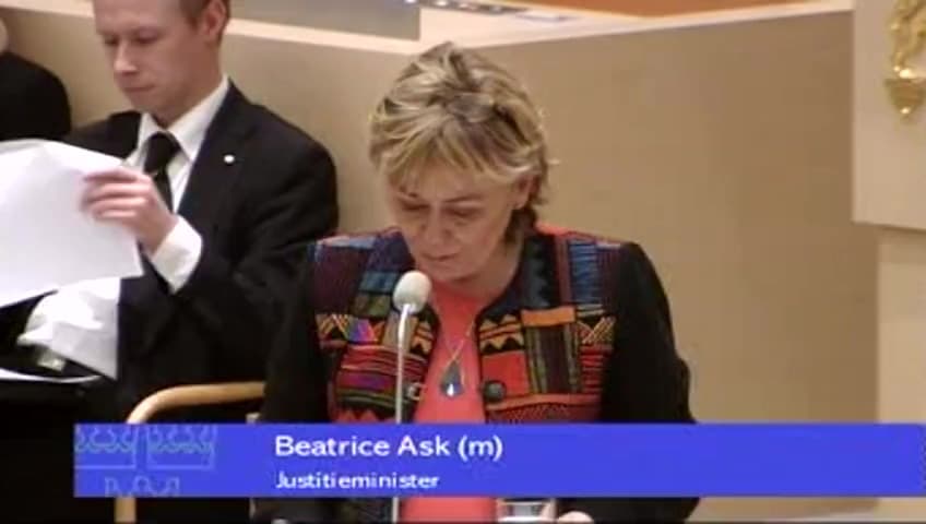 Stillbild från Interpellationsdebatt, Ordningsvakter och entrévärdar