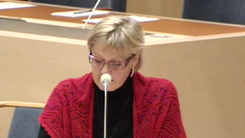 Stillbild från Interpellationsdebatt, Bromma flygplats i framtiden