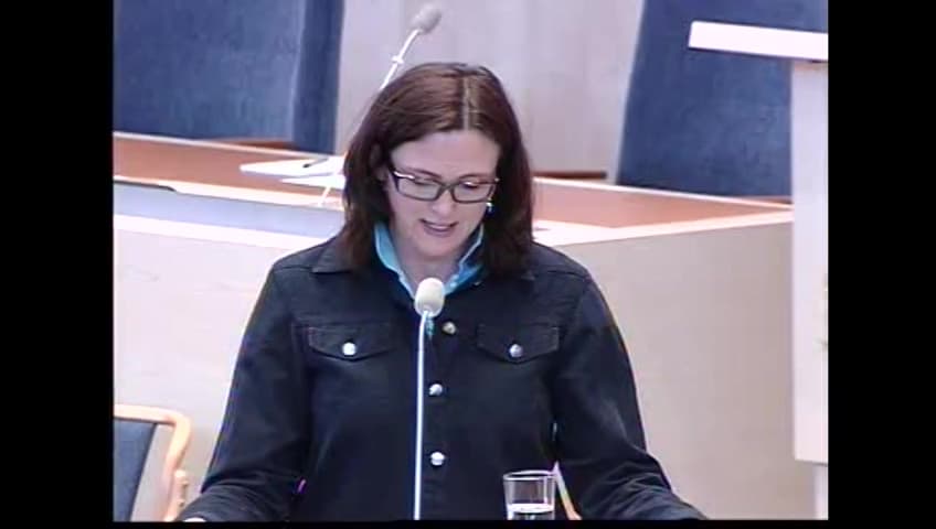 Stillbild från Interpellationsdebatt, Regeringens linje inför omförhandlingarna av EU-konstitutionen